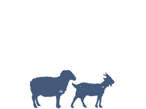 All Stock Feed