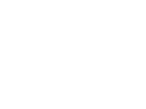 Beef Feed