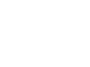 Equine Feed