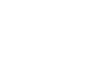 Wildlife Feed